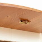 Praktyczny klasyczny sosnowy stół Ingrid