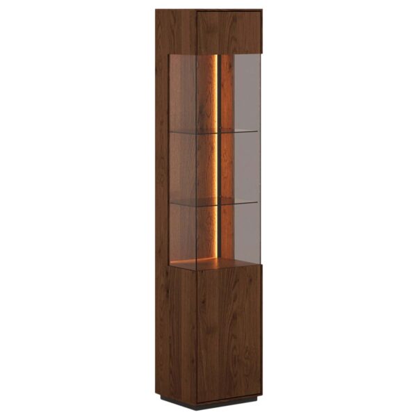 Industrialna nowoczesna dębowa witryna Essentia