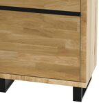 Witryna Dębowa Mniejsza – Nexor 04