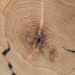 Modernistyczna Szafka RTV z Plastrem Drewna Loftwood