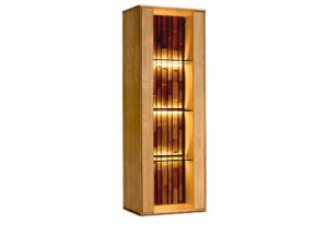 Elegancka Witryna Wisząca do Salonu Sole