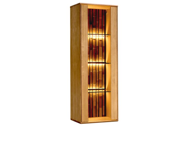 Elegancka Witryna Wisząca do Salonu Sole