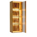 Elegancka Witryna Wisząca do Salonu Sole