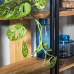 Witryna Toledo 1 Drzwi Prawostronna